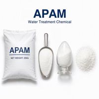 Polyacrylamide Anionique (APAM) en Poudre Anti-Calcaire, Floculant à 99% de Pureté, pH 6.0-8.0 pour le Traitement des Eaux Usées Industrielles et la Pierre