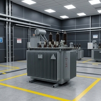 Transformador de Alta Tensión de 11kv, Tipo Refrigerado por Aceite, Transformador de Distribución de 250kVA con Certificación CE