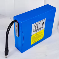 Baterai LiFePO4 12V 7Ah 9Ah 12Ah 15Ah 18Ah 20Ah 35Ah 50Ah Bebas Perawatan Pengganti Aki Timbal Asam Tahan Lama