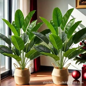Plantes artificielles <span class=keywords><strong>en</strong></span> <span class=keywords><strong>pot</strong></span> Hongsheng, faux arbre vert, écologiques, <span class=keywords><strong>en</strong></span> plastique, pour intérieur/<span class=keywords><strong>extérieur</strong></span>, 60 cm de haut, simulation de plantes debout - Product Image 3