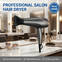 Sèche-cheveux professionnel à prix compétitif, température constante, séchage rapide, céramique PTC, 3 réglages de chaleur, avec lumière LED