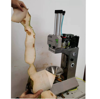 Automatische fruit- en groenteschilmachine van roestvrij staal 304, eenvoudig te bedienen
