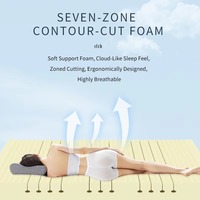 Matelas en mousse à mémoire de forme 7 zones, taille Queen, avec housse amovible, hypoallergénique, design moderne, pour usage hôtelier, chambre personnalisée, sommeil parfait