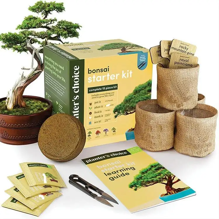 Idee regalo di natale insoliti regali di giardinaggio fai da te unici artigianato Kit per Hobby giardino in crescita albero germinare Set Starter Kit Bonsai
