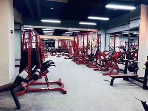 Équipement de gymnastique commercial pour la <span class=keywords><strong>musculation</strong></span> des femmes façonnant la Shenqi abdominale et les fesses soulevant la <span class=keywords><strong>machine</strong></span> d'exercice de serrage - Product Image 6