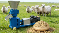 Machine à granulés combinée avec broyeur à marteaux pour la fabrication de granulés de bois et d'aliments pour animaux