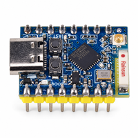 Papan Pengembangan ESP32C3 PRO MINI dengan Modul Chip ESP32-C3FH4 Terpasang, Papan Pengembangan Wi-Fi