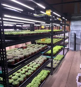 Indoor Gemüse maschine Hydro ponik Farm Urban Grubber mit LED