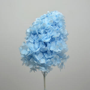 Fleur de décoration de mariage en gros, fleur naturelle stabilisée, hydrangea pagode avec tige, hydrangea préservé - Product Image 4
