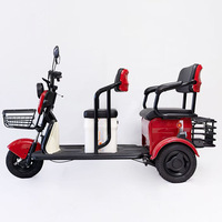 Véhicule électrique à trois roues personnalisé 48V 25km/h, trois places, phares haute luminosité, cadre robuste, longue autonomie de la batterie