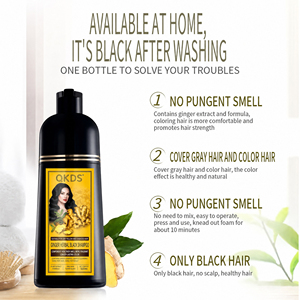 Shampoo colorant permanent au gingembre nourrissant anti-chute de cheveux, faible MOQ, tendance, emballage personnalisé direct usine - Product Image 3
