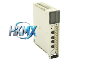 Módulo de Salida Discreta TSXDSY08R5A TSXDSY08R5 TSXDSY08R4D TSXDST882 TSXDST835, Serie Premium Modicon, 8 Salidas de Relé - Product Image 1
