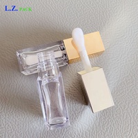 Lot de 100 tubes repulpeurs de lèvres LZ Or Argent 6ml 8ml, grand applicateur Doe Foot, élégants, avec logo personnalisé, tubes de brillant à lèvres vides plats carrés