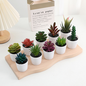 Mini plantas en maceta Duofu, plantas <span class=keywords><strong>suculentas</strong></span> artificiales, bonsái suculento <span class=keywords><strong>con</strong></span> maceta redonda de plástico - Product Image 1