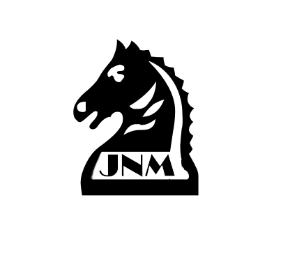 Ningbo Jinningma Import And Export Co., Ltd. logo