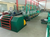 Machine de tréfilage électrique de type poulie pour la fabrication de clous Prix de refroidissement par eau de fil machine froid en acier inoxydable