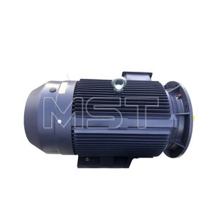 Penjualan terlaris <span class=keywords><strong>Motor</strong></span> <span class=keywords><strong>30</strong></span> <span class=keywords><strong>hp</strong></span> tiga fase <span class=keywords><strong>Motor</strong></span> listrik asinkron industri tiga fase harga <span class=keywords><strong>Motor</strong></span> induksi 45kw - Product Image 6