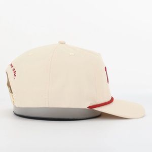 Gorra de Béisbol Deportiva Personalizada, Estilo Clásico para Exteriores, Impermeable, de 6 Paneles, con Visera Curva, Bordada con Cuerda, de Alta Calidad - Product Image 3