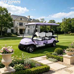 Voiturette de golf électrique à usage commercial, 2/4/6 places, 48V 72V, pour sites touristiques - Product Image 1