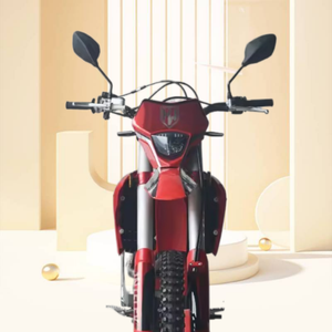 Moto <span class=keywords><strong>Enduro</strong></span> 250cc 300cc 450cc Motos tout-terrain Dirt Bike 250CC 300cc 450cc Motocross pour adultes - Product Image 4