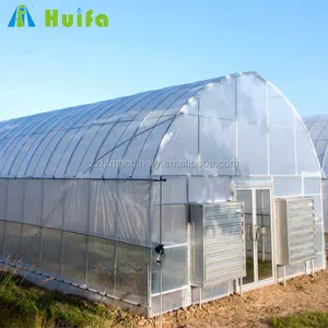 Economical Plastic Vegetable Tunnel Greenhouse For Sale