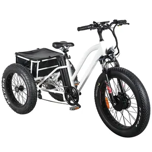 500W 18Ah 24 इंच 3 पहिया इलेक्ट्रिक वसा बाइक Trike कार्गो बिजली तिपहिया साइकिलें