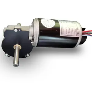 Motor de engrenagem de baixa rpm, 200kg cm 20nm dc 24v 60w minhoca motor de engrenagem de torque alto com eixo duplo