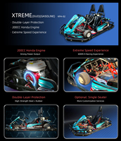 Go Kart Comercial de 2 Plazas, 200CC, Gasolina, para Adultos y Adolescentes, Alquiler, Carreras, Drift, 60KM/H
