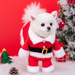 Nouveau design Pull de Noël <span class=keywords><strong>pour</strong></span> <span class=keywords><strong>chien</strong></span> Costume de Père Noël <span class=keywords><strong>pour</strong></span> chat Vêtements <span class=keywords><strong>pour</strong></span> petit <span class=keywords><strong>chien</strong></span> Vêtements <span class=keywords><strong>pour</strong></span> <span class=keywords><strong>chien</strong></span> <span class=keywords><strong>pour</strong></span> l'automne et l'hiver - Product Image 5