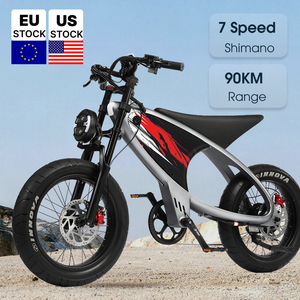 Bicicleta Eléctrica Todoterreno 2026, Precio de Fábrica, Fast Mountain Fatbike 1000w, Neumáticos Anchos, para Adultos, Motor Q3, Conduce en Cualquier Terreno - Product Image 5