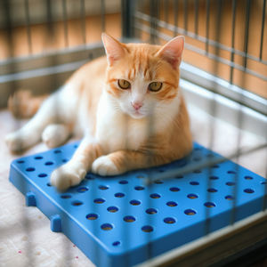 Toka bağlantı tasarımı ile küçük boyutlu plastik tepsi, ev kullanımı, depo ve süpermarket için uygun 500*300*100mm - Product Image 4