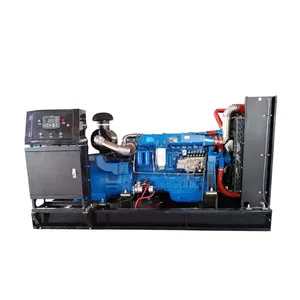 Weifang Pure Copper Brushless Backup Power 250KW Generator 12V DC Electric Start 24v DC Electric Start 50hz/60hz Everlight 450A