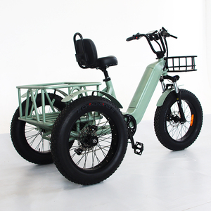 Triciclo Eléctrico de 3 Ruedas con Suspensión Delantera, Bicicleta de Carga Familiar, Triciclo con Llantas Gruesas, Triciclo Eléctrico para 2 Personas para Turismo - Product Image 6