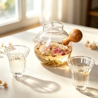 Thee-set van dik, hittebestendig borosilicaatglas met filter, geschikt voor Kung Fu thee, fruitthee en koffie.