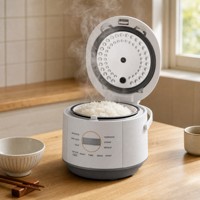 Nouveau produit 2026 : Mini cuiseur à riz 1L avec cuve intérieure en céramique, revêtement antiadhésif, forme hémisphérique, 400W, fonction maintien au chaud, tasse doseuse électrique et minuteur