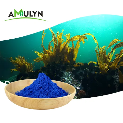 Bột Tảo Spirulina Phycocyanin Màu Xanh Dương Thực Phẩm Tự Nhiên AMULYN