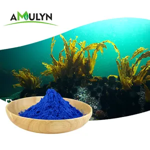 AMULYN Natural Food Coloring Blue Spirulina Phycocyanin Powder