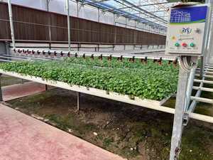 水耕栽培Venlo PCポリカーボネート屋根エネルギードライブ太陽光発電パネルソーラーガラス温室フルシステム付き - Product Image 6