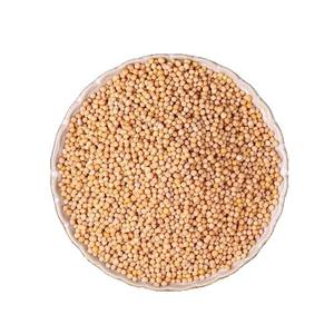 Semillas de Sinapis Secas sin Azufre al por Mayor, Hierba China para Calentar los Pulmones y Resolver la Flema, para Medicina Herbal Tradicional - Product Image 1