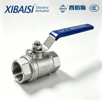 Válvulas de Bola de Acero al Carbono de Alta Resistencia Xibaisi, Conexión Roscada para Servicio de Agua a Alta Temperatura DN15-DN100