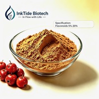 Extrait de fruit d'aubépine en poudre, ingrédient naturel de supplément alimentaire, flavonoïdes 5% 20% UV pour aliments et boissons fonctionnels, fourni par l'usine