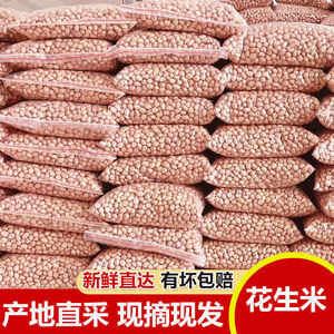 Noix de couleur rouge décortiquées de grande taille d'arachides chinoises comestibles pour le matériel alimentaire - Product Image 2