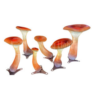 Mini Lámpara de Jardín con Forma de Hongo Trompeta para Jardín de Hadas, Caminos, Festivales y Decoración de Exteriores - Product Image 5