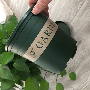 Macetas de Plástico Verdes para Plantas, Flores y Suculentas en el Jardín - Product Image 2