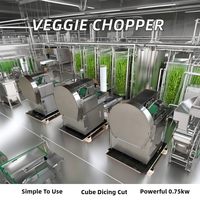 Multifunctionele Groene Ui Groente Chopper Groente En Fruit Snijmachine