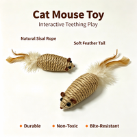 Jouet pour chat en corde de sisal avec queue à plumes, jouet interactif pour chat, jouet durable résistant aux morsures, support OEM personnalisé