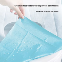 Un paquet de 10 rouleaux de papier toilette jetables emballés individuellement, écologiques, protection contre les bactéries, pour les voyages, les déplacements professionnels, les séjours à l'hôtel