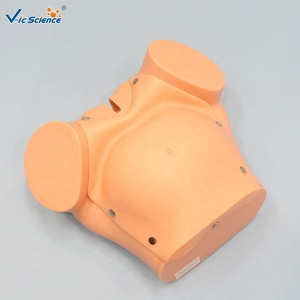 Manichino per Addestramento Ostetrico Completo, Modello di Simulazione del Parto per l'Insegnamento della Ostetricia CE/ISO/ROHS/CNAS - Product Image 3
