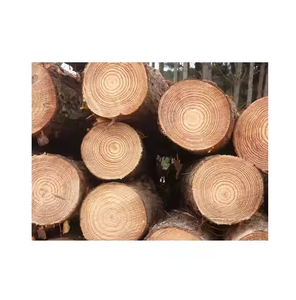 Công nghiệp lớp gỗ cứng bản ghi thông gỗ và Bạch Đàn tếch sồi Bạch Dương gỗ đàn hương gỗ cho mục đích sản xuất - Product Image 1