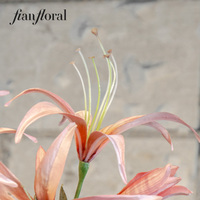 FONG IAN Kunstmatige Amaryllis Real Touch Handgemaakt Realistisch Geurende Zachte Bloem met Modern Design Milieuvriendelijk Duurzaam